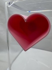 Heart hide for jumping spiders, 3D printed terrarium decor