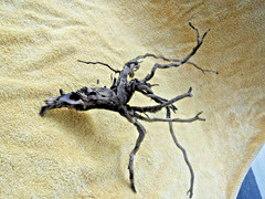 NATURAL SPIDER LIKE ROOT WOOD REPTILE TERRARIUM DECORATION ART GARDEN PET FLORAL