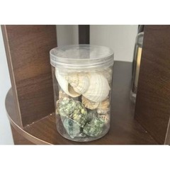 Natural Hermit Crab Shell Set Small To Medium Sizes Replacement Housing