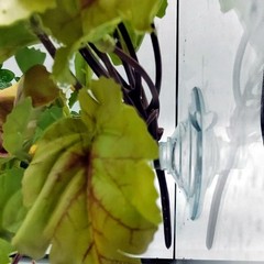 2 PCS Reptile Plants Terrarium Amphibian Habitat Fake Hanging Decor Yellow