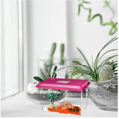 All in One Hermit Crab Supplies – Beginner Terrarium Set