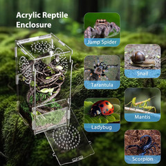 Jumping Spider Enclosure, Acrylic Praying Mantis Habitat, 8″*4″*4″ Insect