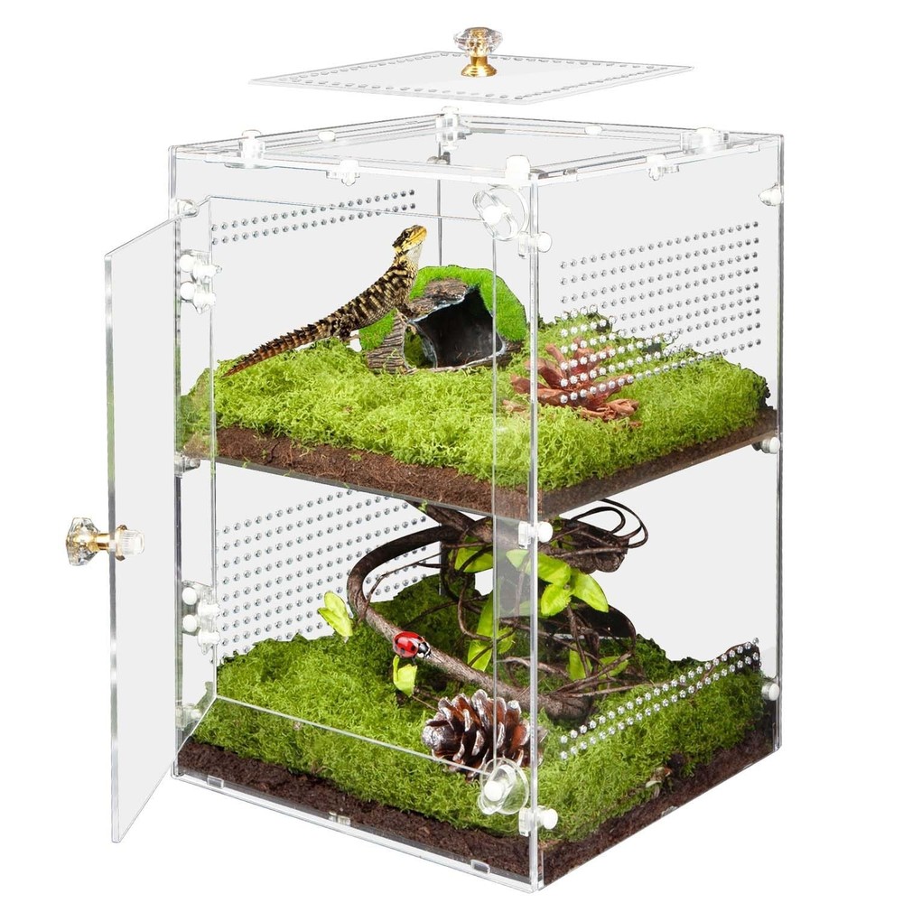 Acrylic Jumping Spider Enclosure with Removable Divider – 12″*8″*8″ Large Reptil