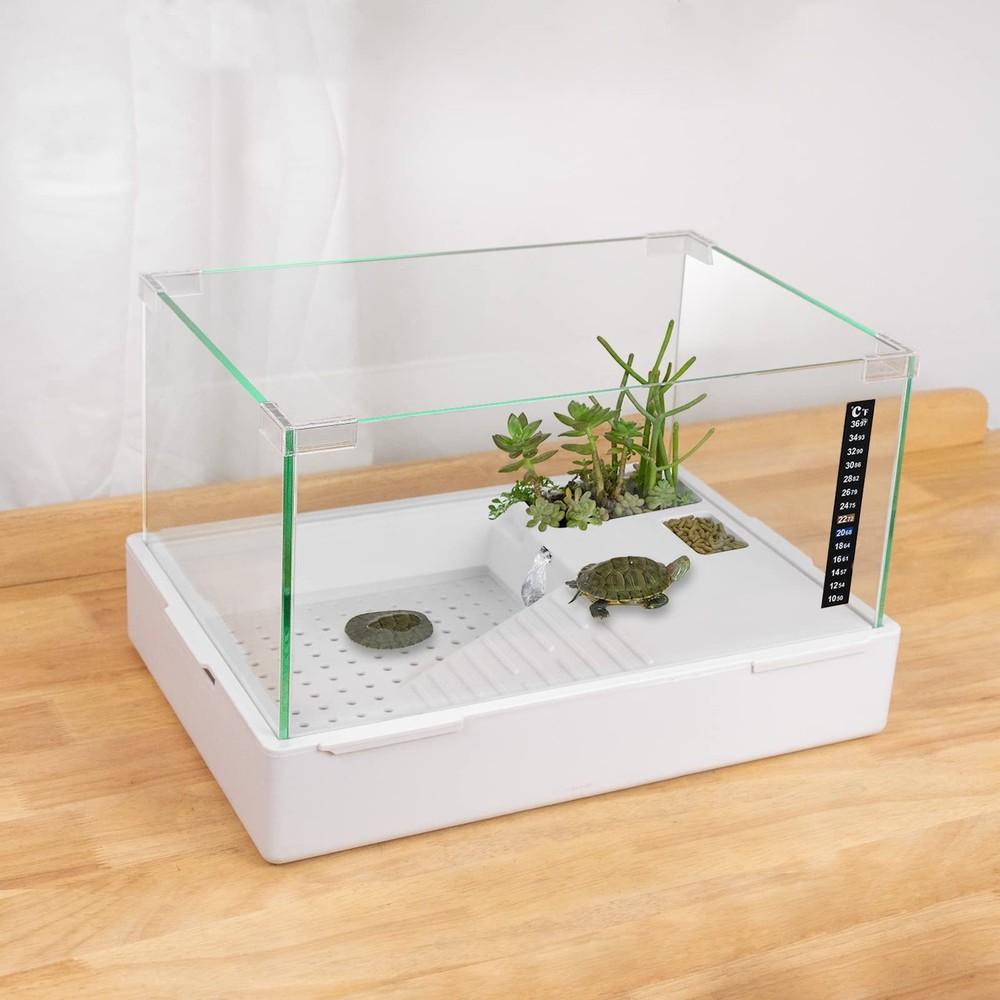 BETAZOOER Turtle Tank with Adjustable Water Pump Filter, Large(Glass), Glass