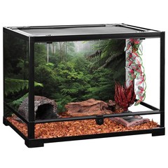 AWERT Foggy Forest Terrarium Background Green Tree Reptile Habitat Background…