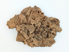 Cork Tree Bark Flat For Reptiles Isopods Terrariums & Plants – 12.6oz 12x9x3.5