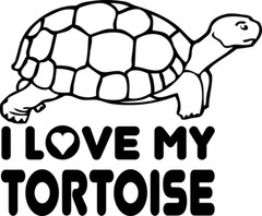 I LOVE MY TORTOISE Indoor Removable Black Vinyl Decal Walls Tablet Laptop