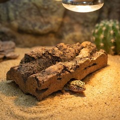 6pcs Natural Cork Bark Reptile Substrate Terrarium Background – Wood Lizard