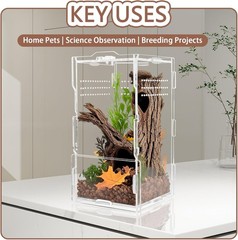 8x4x4in Vertical Acrylic Jumping Spider Enclosure – Transparent color