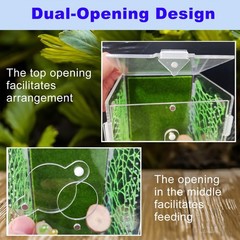 Acrylic Jumping Spider Enclosure,Reptile Enclosure,Bug Habitat, for Small Tre…