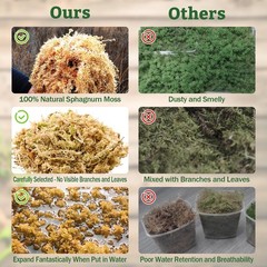5.3OZ Premium Sphagnum Moss for Reptiles 6QT Natural Dried Forest Live Moss
