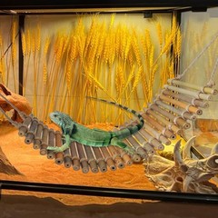 Reptile Climbing Bridge Bamboo Lizard Ladder Bridge Bearded Dragon Hammock