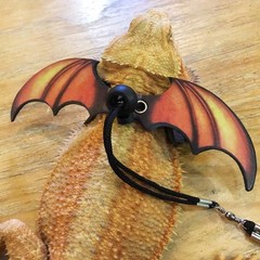 Bearded Dragon Leashes and Harness Soft Leather Detachable Reptile Lizard Wing