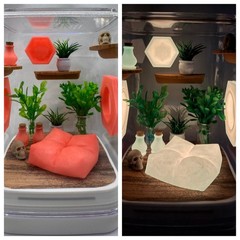 Coral Cove Glow Jumping Spider Enclosure – Stylish Pet House for Your Arachnid