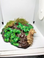 Arboreal Attitudes Weighted Ground Hides For Terrariums And Cages For Reptiles