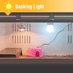 13W UVA/UVB 5.0 Light for Reptiles – Enhanced Health for Chameleons & Tree Frogs