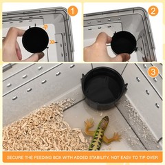 Reptile Feeding Terrarium Box Transparent Spider Pet Keeping Tank