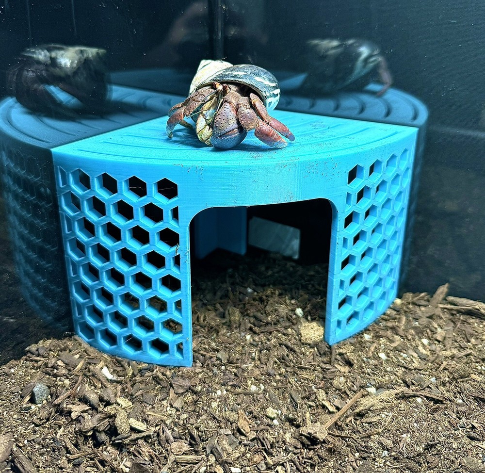Hermit Crab Climbing Corner Stand Tank Ornament Hide Cave Accessories Supplies