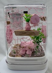 Jumping Spider Terrarium – Customizable Pink Paradise Enclosure