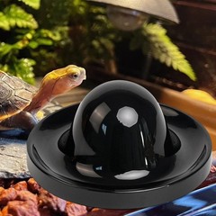 Reptile Feeding Dish Tortoise Food Dish designed for Bearded Dragon Tortoise