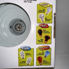 Zilla Premium Reflector Dome Light & Heat 8.5in Black