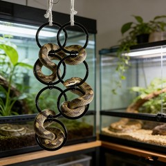 Suction Cup Snake Ring Reptile Climbing Hanging Terrarium Snake Vine Holder