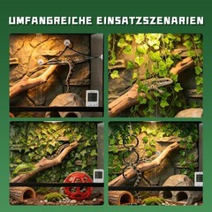 7-in-1 Snake Habitat Accessories: Climbing Rings, Hammock, Ivy & Suction Cups fo