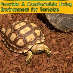 Halatool 2-Pack Coconut Husk Chips for Reptiles, Compressed Coco Chips Substr…