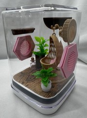 Boho Jumping Spider Enclosure – Stylish Pet House for Arachnid Lovers