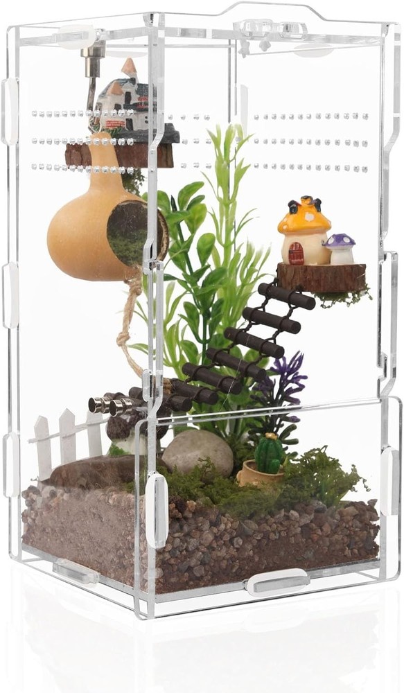 8x4x4in Vertical Acrylic Jumping Spider Enclosure – Transparent color
