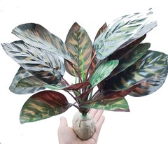 Reptile Terrarium Decor Plants,Amphibian Habitat Decor,Artificial Plants for …