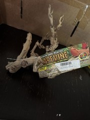 Zoo Med Grapevine Wood For Reptile, Birds, And Small Animals Medium Size 12”