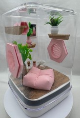 Pink Paradise Jumping Spider Terrarium with Customizable Enclosure Accessories