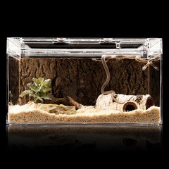 Simulation Rock Basin Escape Proof Bowl Lizards Drinking Feeding Bowl