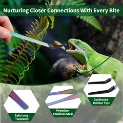 2 Pack Stainless Steel Reptile Feeding Tongs with 10.6 Inch, 10.6″Colorful