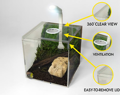 Vented Acrylic Vivarium Enclosure 4″ White Vent Small Clear Terrarium Habitat