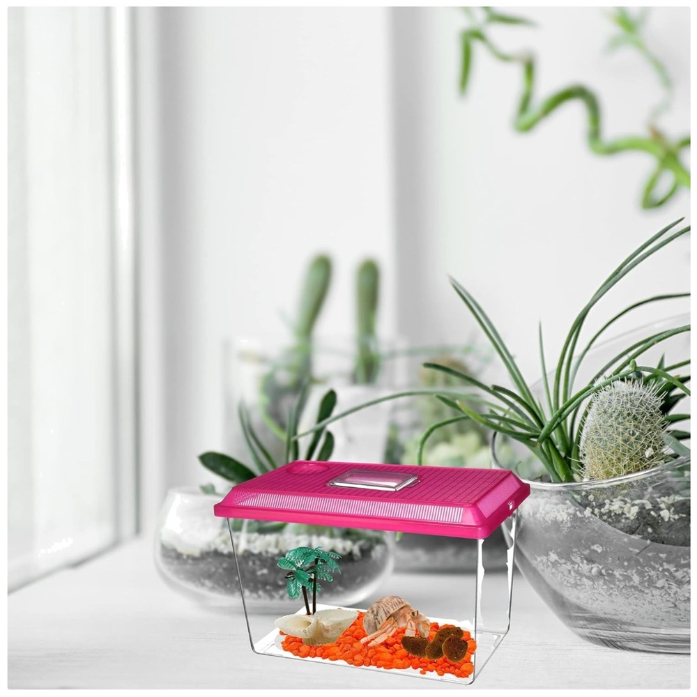 Ultimate Hermit Crab Supplies Kit – Terrarium Accessories