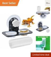 Strongly Fixed Feeding Ledge with 30 0.5oz Cups for Reptile Nutrition