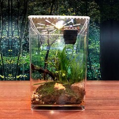 Acrylic Clear Reptile Enclosure Cage Lizard Frog Pet Snake Terrarium Lives Tank