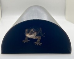 Closed Reptile/Small Animal Tunnel