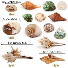 Hermit Crab Shells – Natural Coconut Shell Hut with Artificial Plants, Seashe…