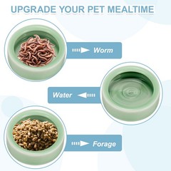 Reptile Food Bowl Worm Water Dish Ceramic Pet Bowl Small 3″ Plum Green