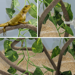 Coolrunner 8FT Reptile Vines and Flexible Reptile Leaves w/ Suction Cups Jungle