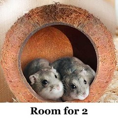 Raw Coconut Shell House for Gecko Snake Ball Python Reptile Hide