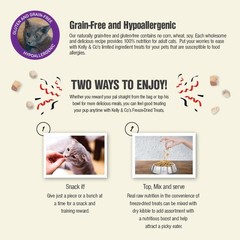 Freeze Dried Cat Treats Chicken Breast 1.4 oz x 4 Packs – Grain-Free Healthy