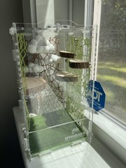 Acrylic Jumping Spider Enclosure Insect Terrarium For Tarantula Mantis Frog