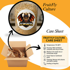 TC INSECTS 32oz Flightless Fruit Fly Culture Live Feeder Insects