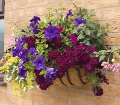 LAVEVE 30 Inches Trough Coco Liner Replacement for Plant Hanging Basket, 2 Pc…
