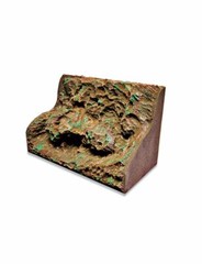 T-Rex Reptile Terrarrium Decor – Rainforest Rapids