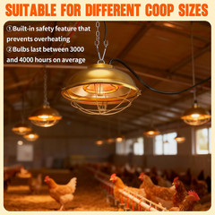 300W Heat Lamp for Chicken Coop – Waterproof Chicken Coop Heater for Indoor &